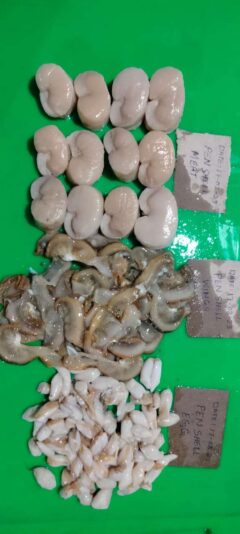 0d5a218b-e41f-4bde-a3d8-2403dc34e2fa