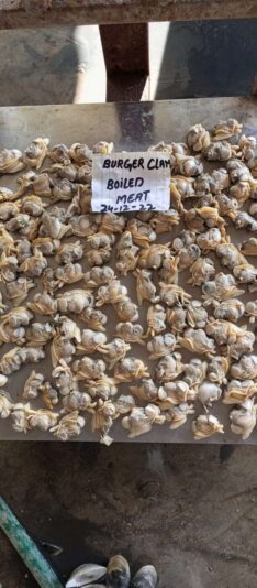 9a1b8cb4-ef6b-4371-a0d6-e5a8f0faba91