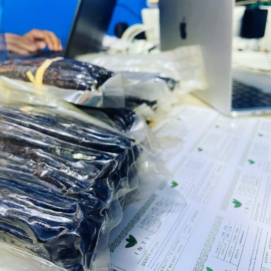 CBED2EC1-E57F-43ED-8A8C-D8368C4537D1