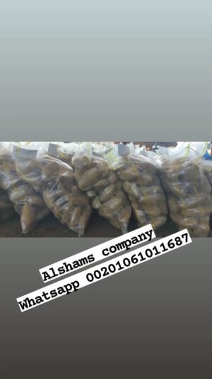 WhatsApp Image 2023-03-29 at 1.13.58 PM (4)