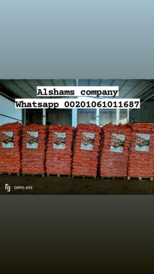 WhatsApp Image 2023-03-29 at 1.13.58 PM (3)