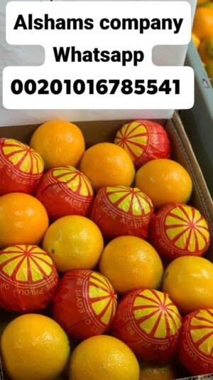 WhatsApp Image 2021-12-29 at 2.02.29 PM