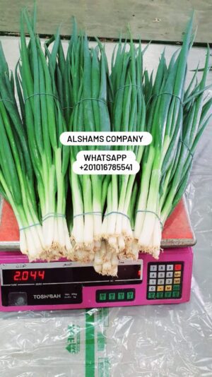 329097406_868805157760058_1612036458857951865_n