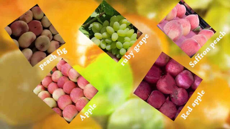 بنر میوه سیب و هلو