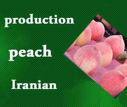 هلو زعفرانی