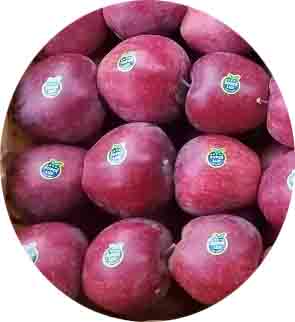 سیب قرمز.psd2