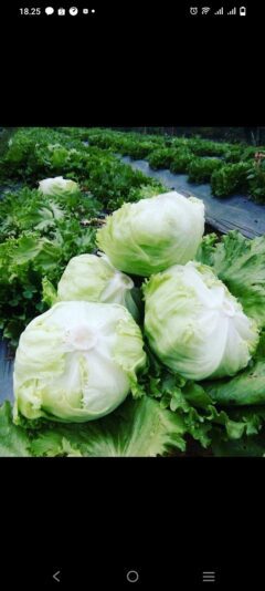 Screenshot_20230411_182507