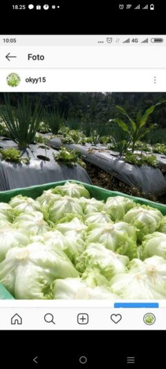 Screenshot_20230411_182526