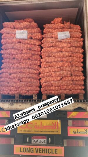 WhatsApp Image 2023-03-29 at 1.13.58 PM (1)