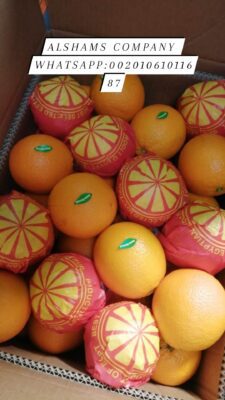 327813594_3412249079048414_4398240583689200800_n