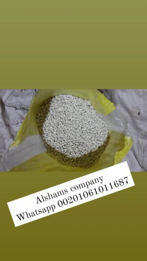 WhatsApp Image 2023-02-05 at 12.21.33 PM