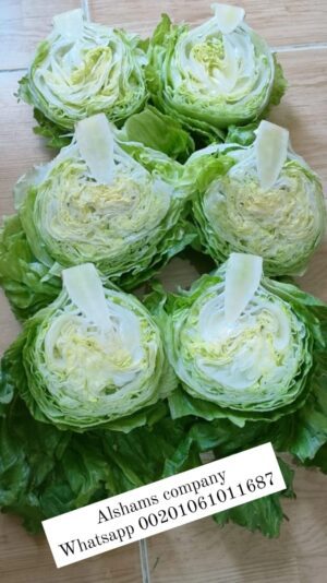 WhatsApp Image 2023-02-05 at 1.43.45 PM