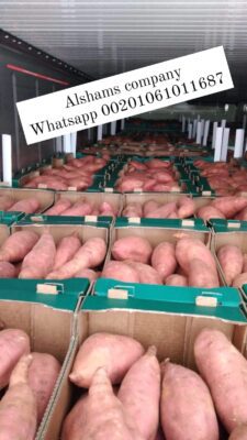 WhatsApp Image 2023-02-05 at 12.24.14 PM (4)