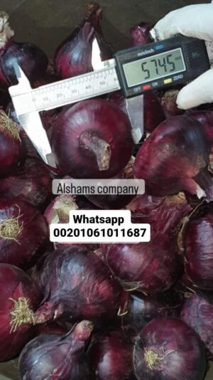 WhatsApp Image 2023-05-21 at 1.44.33 PM