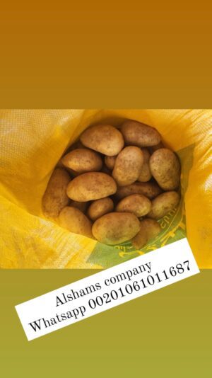 WhatsApp Image 2023-05-21 at 12.39.53 PM (3)