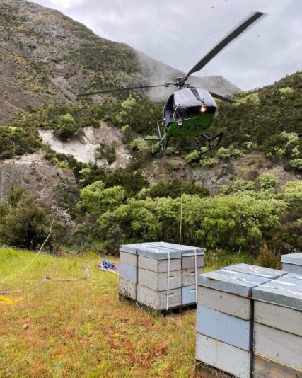 DBA76523-5C8F-458E-B5F9-BD14B00270D6