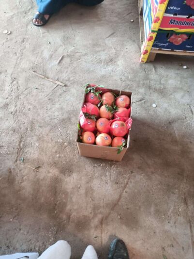 3a8b9e9b-eb23-49dd-848c-4db01e76a125