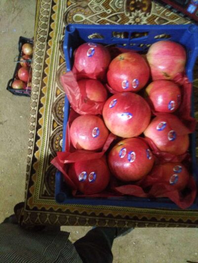 3ba58ef1-ae0c-4079-8d58-22b388e8426a