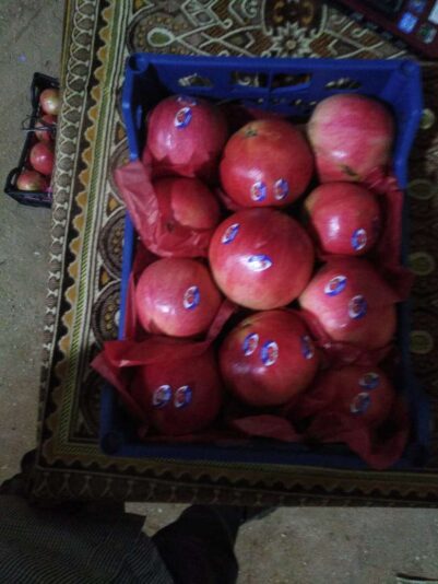 820d8d57-6fae-4b1e-9d34-d0495320c000