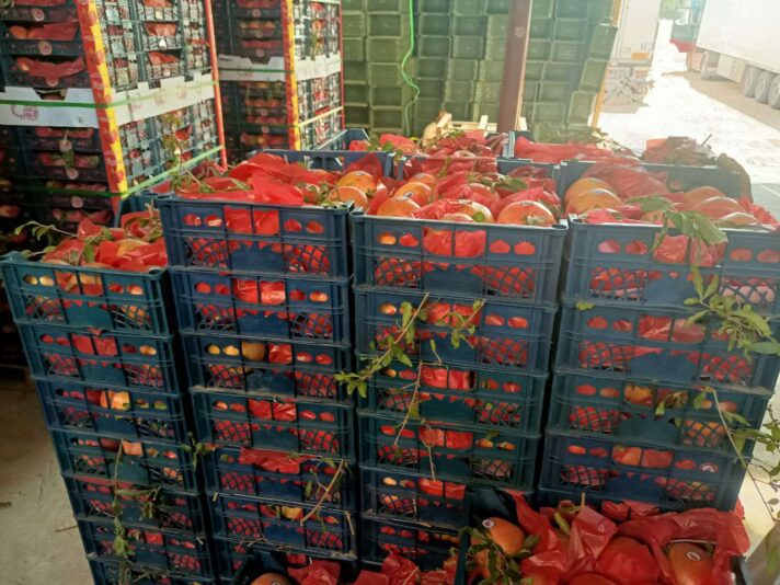 3a989fc2-a520-49c0-88e0-326902b85d3f