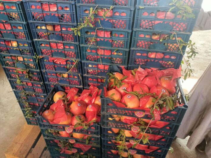 71b0c1c2-db68-47bf-b489-49d165088739