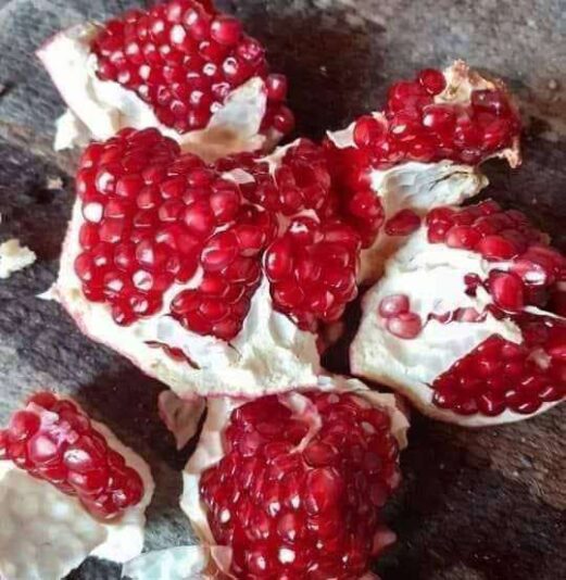 8f228080-31c3-48fc-9f66-9df97acc0f45