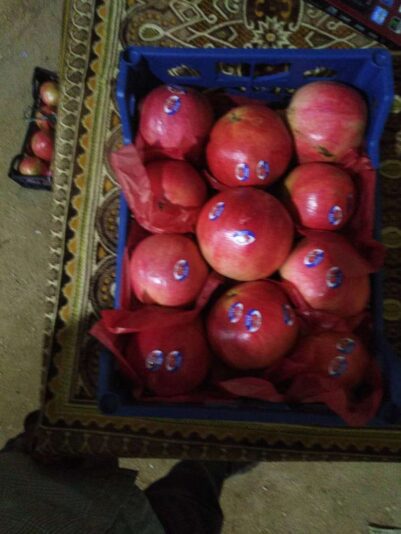 6496768a-5469-4d80-aa9b-962de9b8e27b