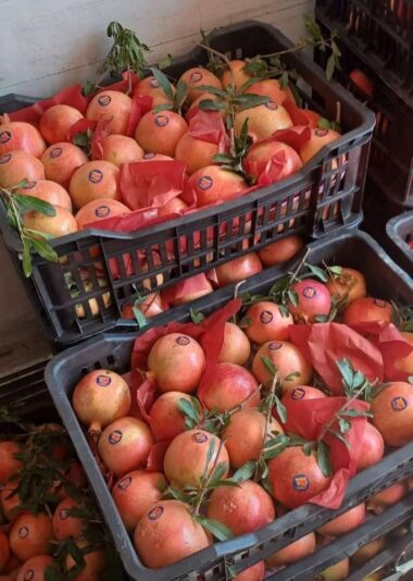 584aaa48-6e85-4b67-b980-178998e38432