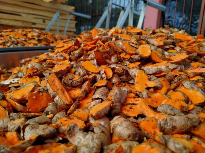 95c0cf2a-28c7-430f-8281-4ef2357af825