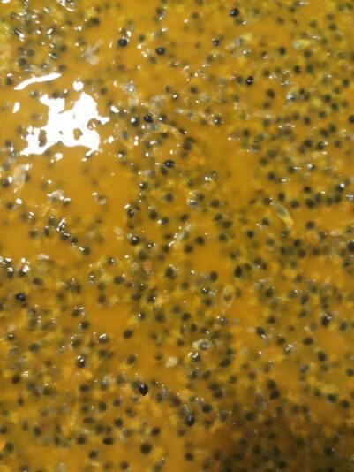 9A047611-EA88-4CA8-8E46-CDD1F0602462