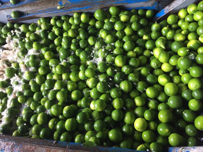 3490F626-C11E-48D2-B119-EA773DF015DB