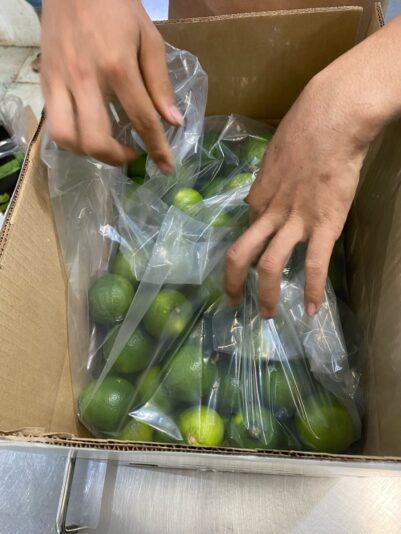 8AA2F946-D987-433E-B548-769F279D493C