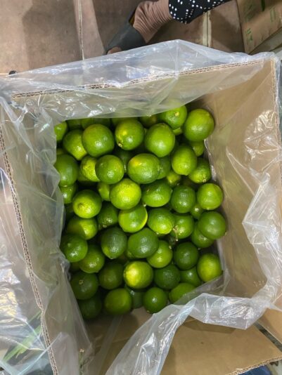 47809AB4-AE8A-46CA-97B1-1FA9FDC9448B