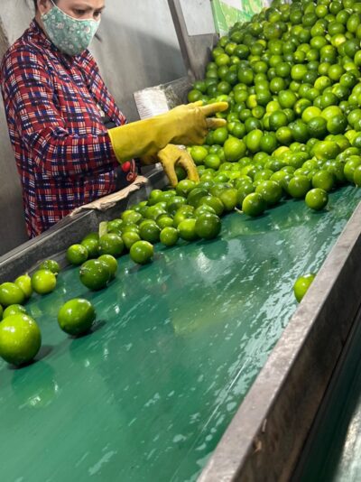 5DF31A61-CE4E-4E03-8948-0BCD31C1458B