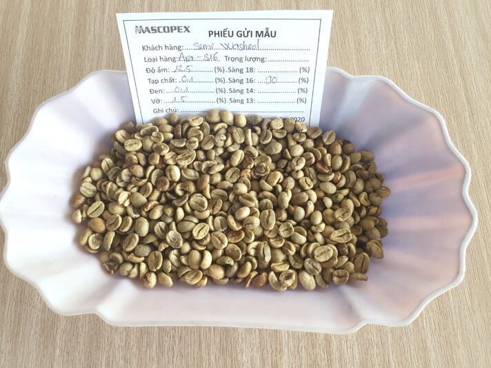 Arabica Semi washed S16