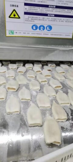 squid tubes U3 U4 (1)