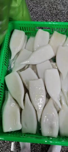 squid tubes U3 U4 (3)