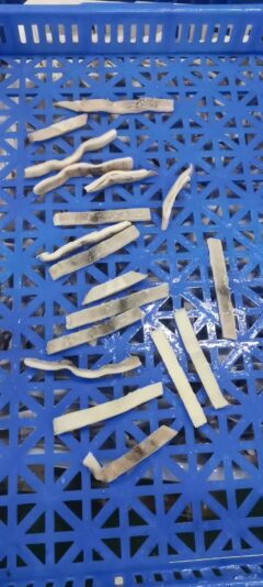 illex squid strips (6)