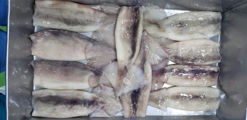 illex squid tubes (2)