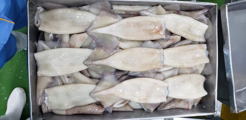 illex squid tubes (4)