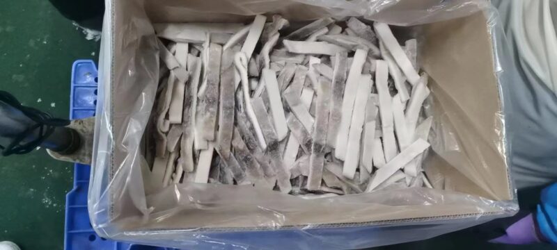 illex squid gutted (1)