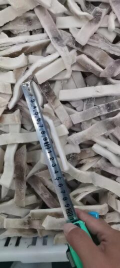 illex squid strips (2)