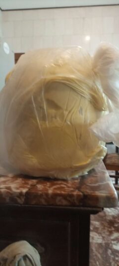 8f8eda02-7567-4468-a10f-d72bea4afe53