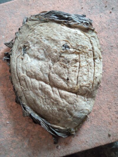 WhatsApp Image 2020-06-17 at 10.00.21 PM