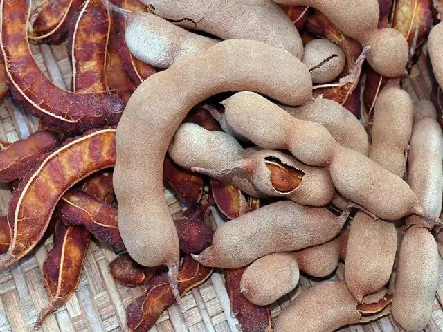 3EA7D7DF-0049-47E4-BA21-4E9FBBBB84E2