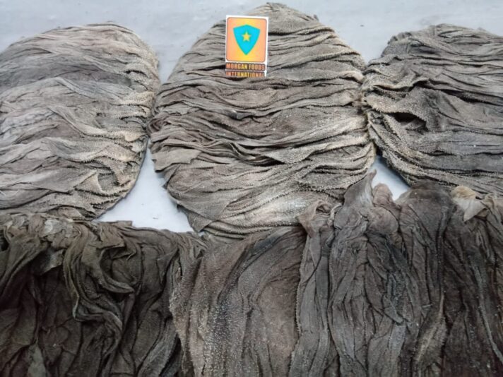 WhatsApp Image 2022-12-02 at 3.35.11 AM (2)