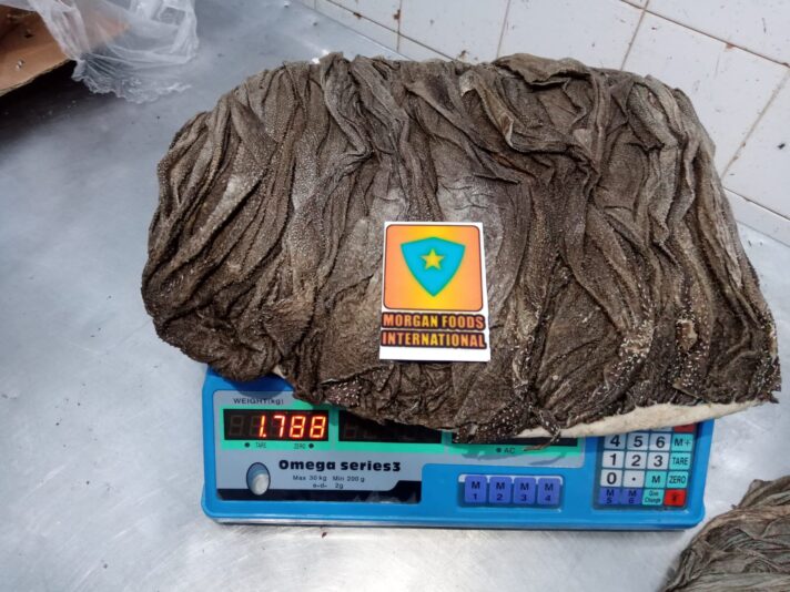 WhatsApp Image 2022-12-02 at 3.35.11 AM