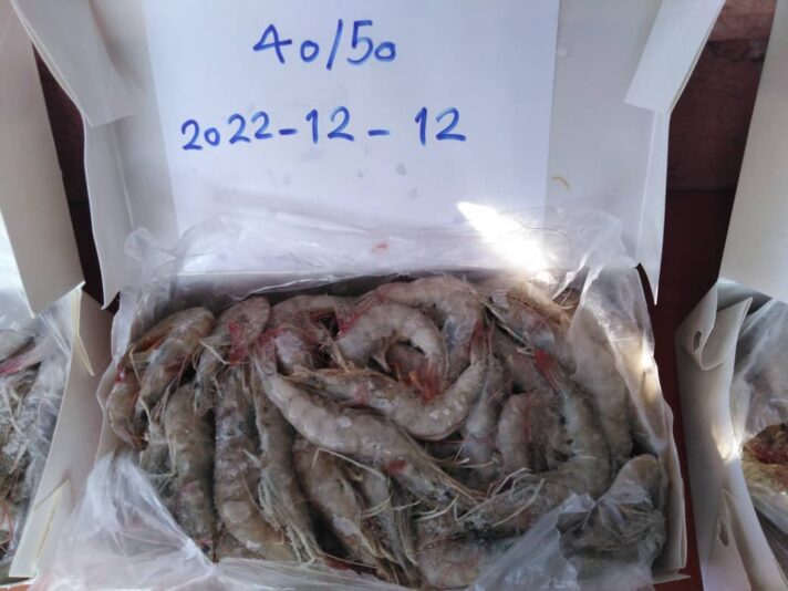 WhatsApp Image 2022-12-12 at 21.40.55