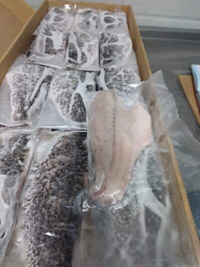 WhatsApp Image 2022-12-12 at 15.01.54