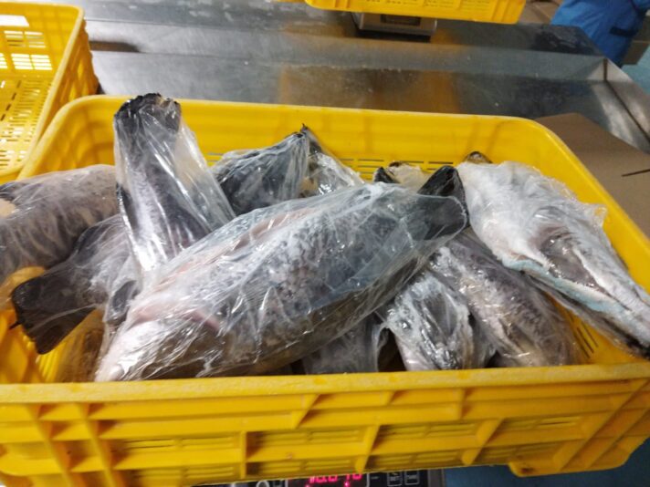 WhatsApp Image 2022-12-12 at 15.01.56